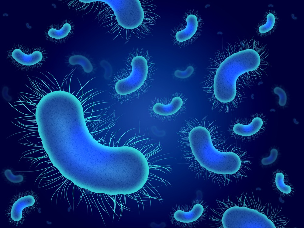 Бактерия - это... бактерии и их виды, подробное описание
