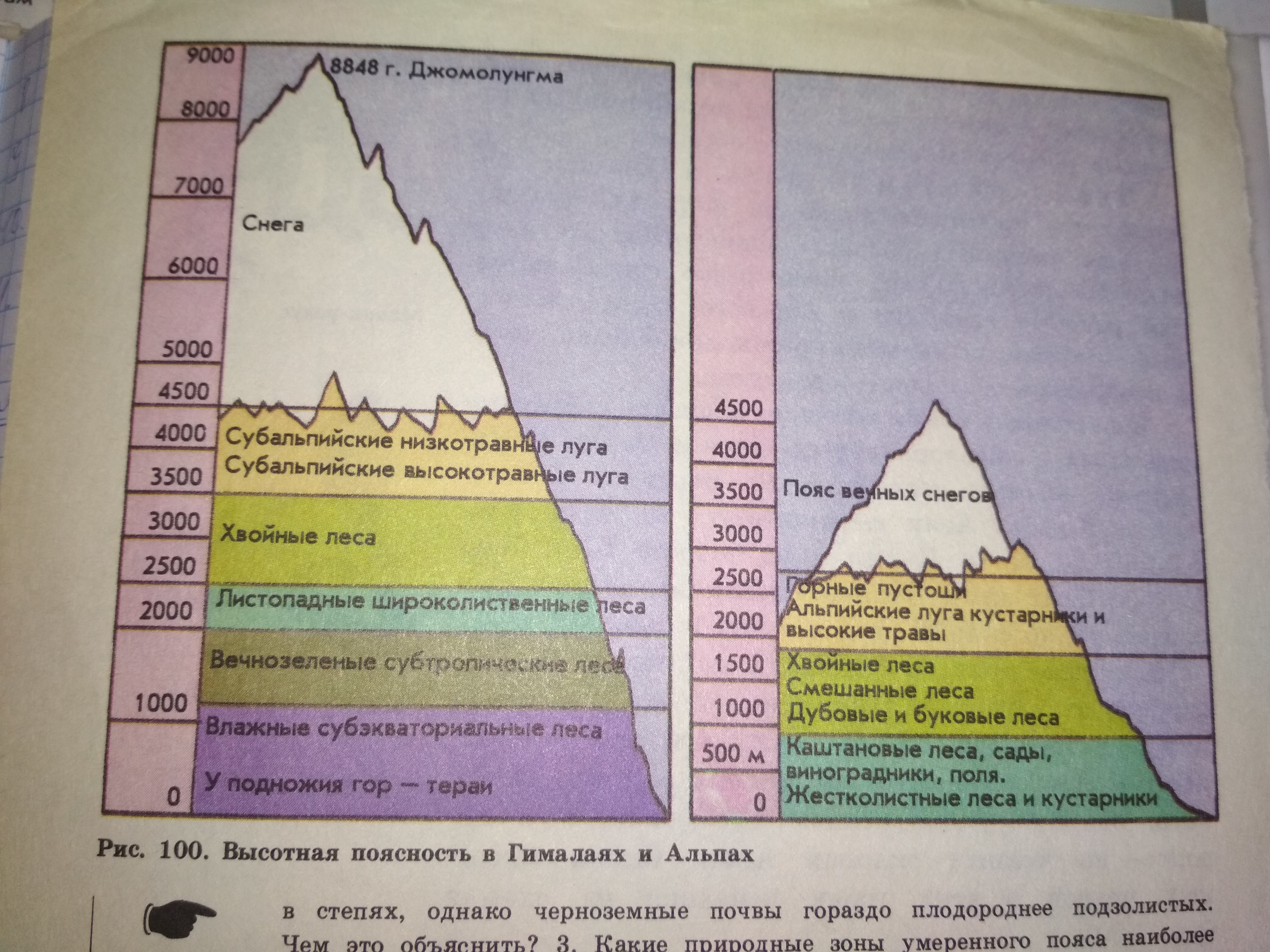 Схема высотная поясность крымских гор