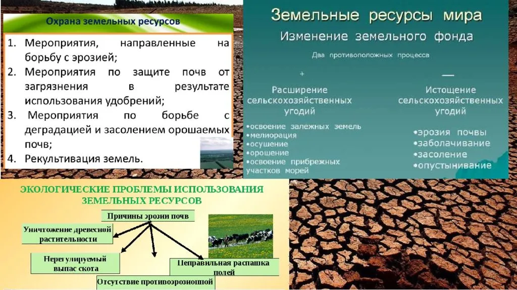 35. природные условия и ресурсы россии. экономическая география