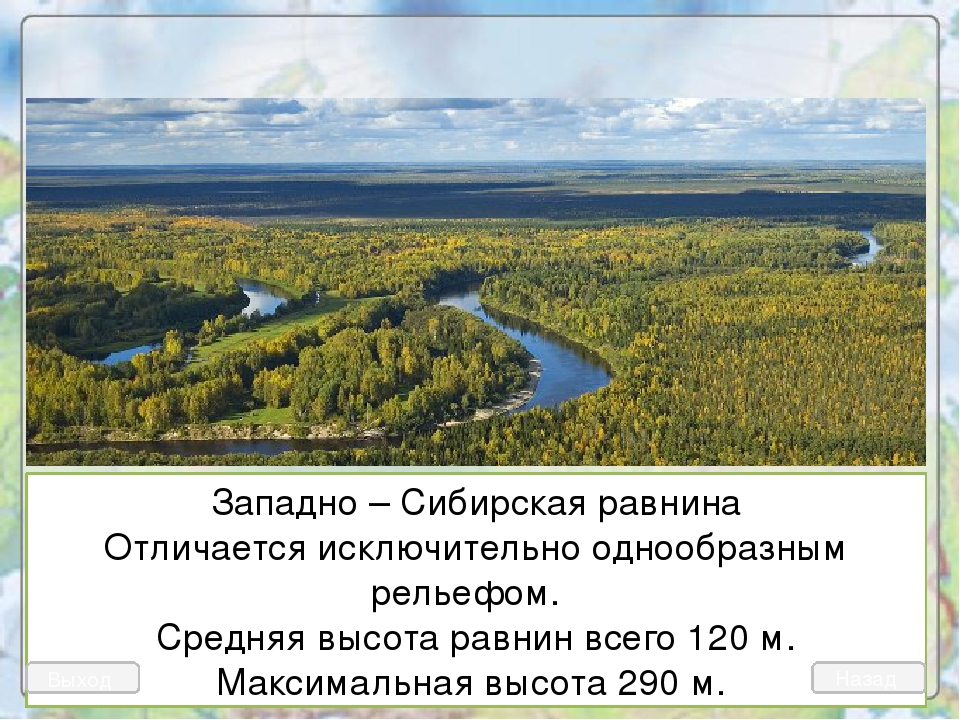 Гп западно сибирской равнины. Западно-Сибирская низменность высота. Западно Сибирская равнина Новосибирск. Рельеф Западно сибирской низменности. Западностбирская равнина рельеф.