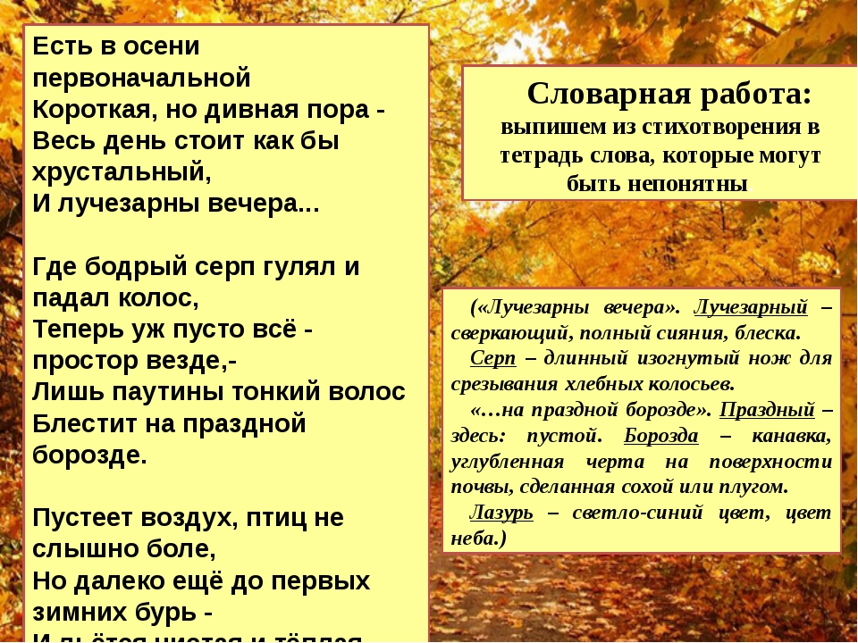 Эту позднюю осень циолковский надолго сохранил. Есть в осени первоначальной. Стихотворение есть в осени первоначальной. Тютчев стихотворение есть в осени. Стихотворение Тютчева про осень.