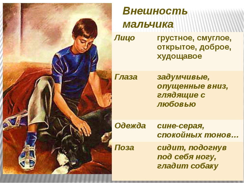 Презентация на тему "сочинение по картине е. н. широкова «друзья»" по русскому языку для 7 класса