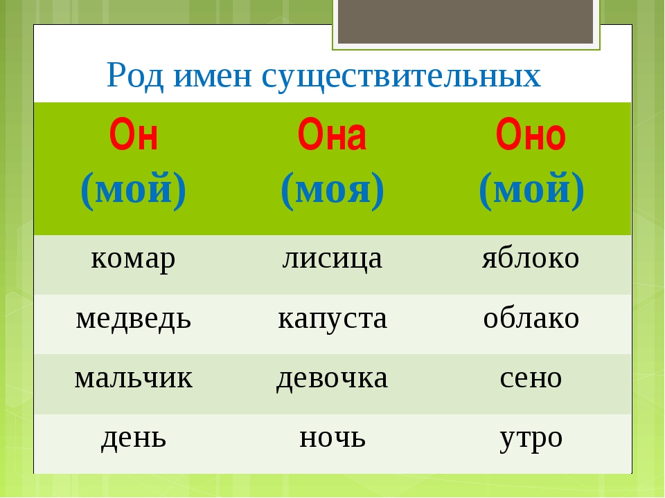 Что такое существительное 3 класс русский язык. Женский род имен существительных 2 класс. Как определить род 2 класс. Род существительных в русском языке 3 класс. Род имёнисещиствительных.