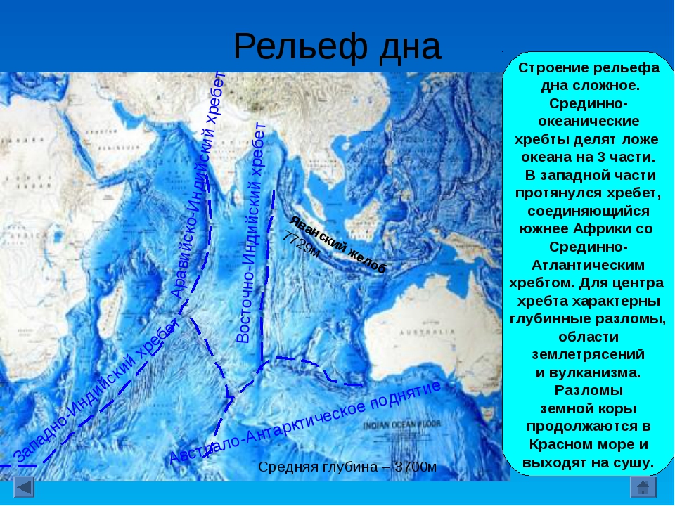 Рельеф дна мирового океана (6 класс) – профиль и крупные формы