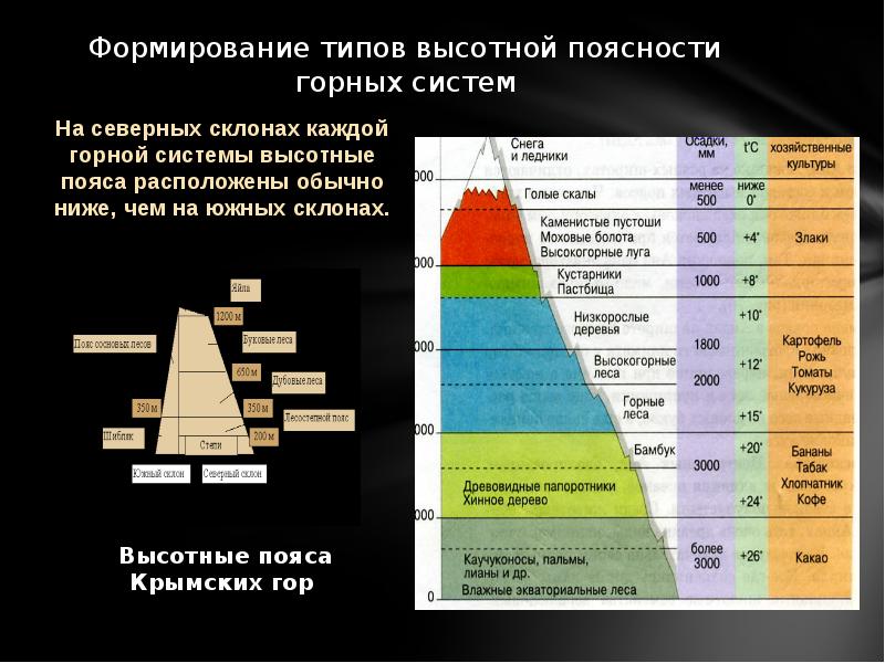 Природные зоны россии 4 класс