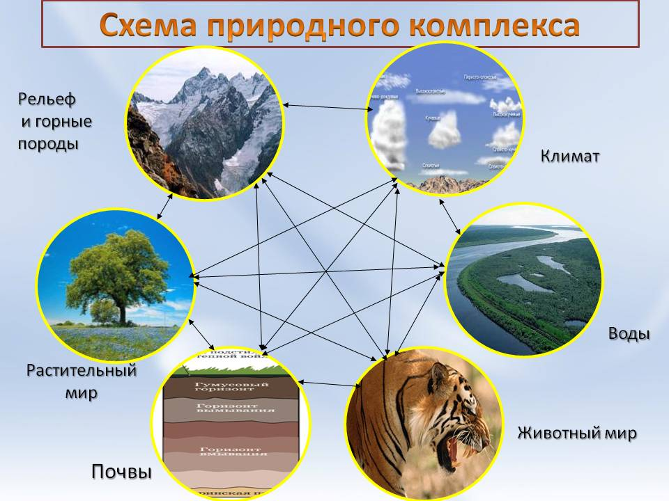Формирование природных зон на поверхности Земли Главные причины, почему происходит их смена Размещение основных зональностей на континентах и географические комплексы на территории России