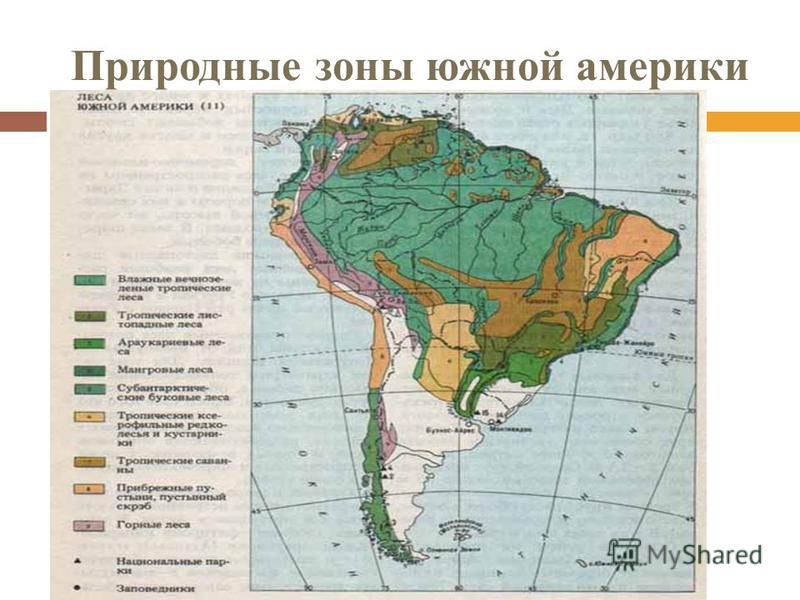 Интересно о растительности, климате и жителях экваториальных лесов южной америки