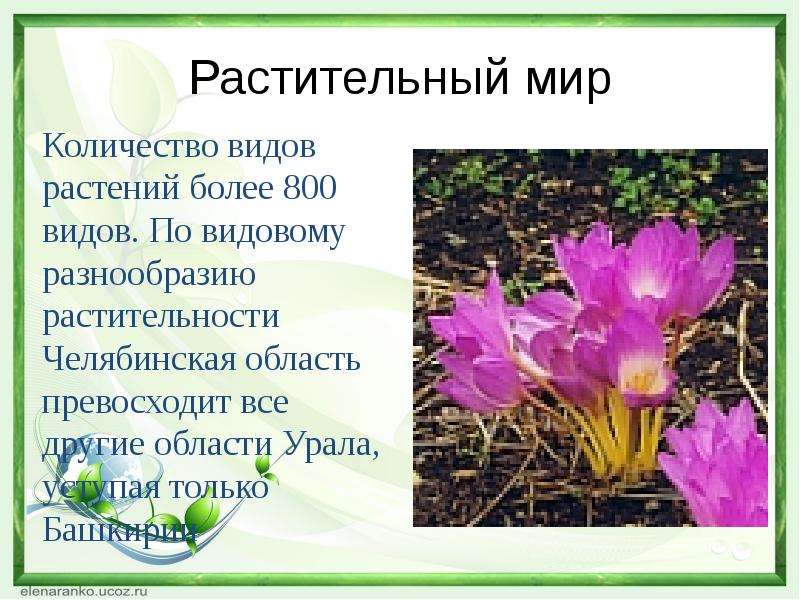 Урок 6: природные зоны россии - 100urokov.ru