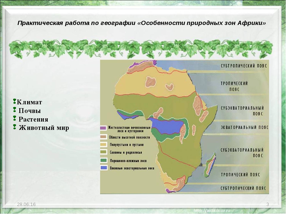 Животные разных природных зон и материков. Природная зона тропического пояса Африки. Климатические пояса и природные зоны Африки. Экваториальные леса Африки на карте. Природная зона экваториального пояса Африки.