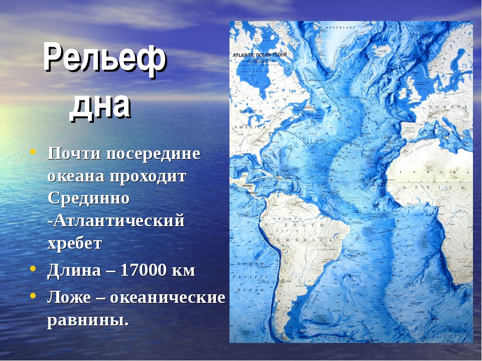 Общие
черты рельефа дна мирового океана  - рельеф дна мирового океана | geoguides.ru