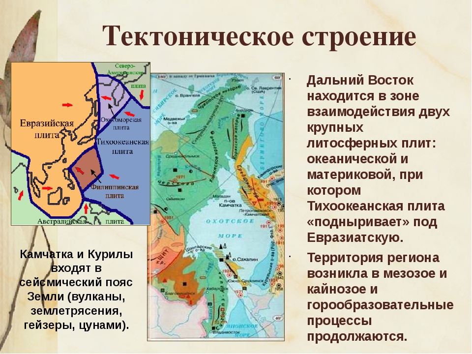 Дальний восток россии – уникумы, какими морями омывается, внутренние воды и животные