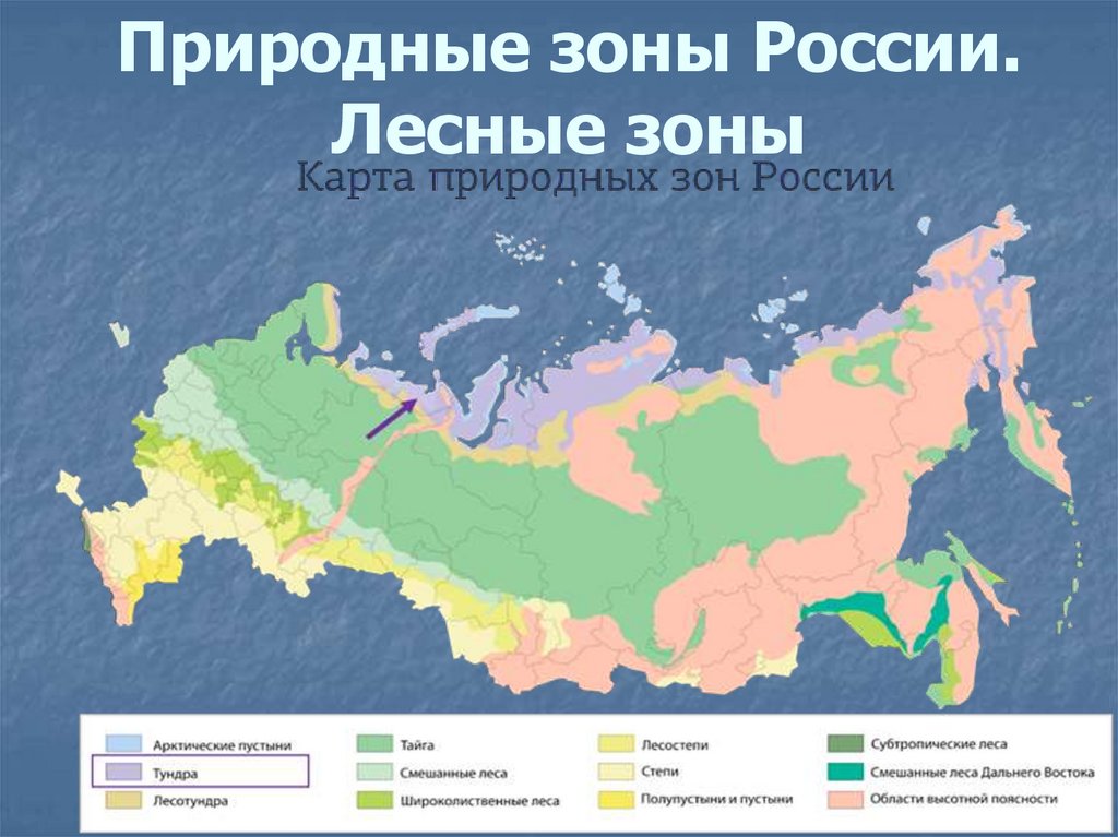 Природные зоны россии 4 класс окружающий мир