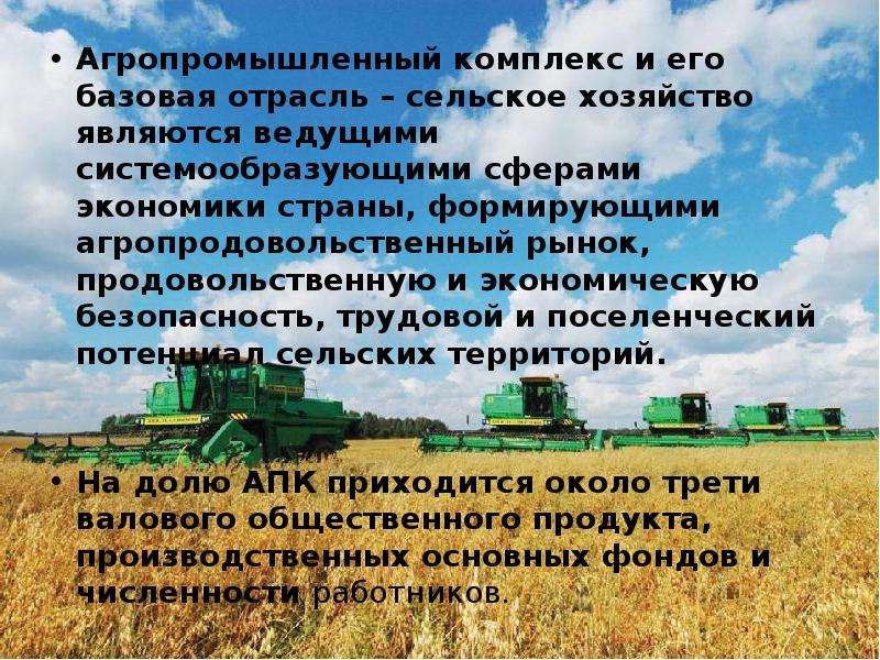 Сельское хозяйство. отрасли сельского хозяйства россии :: syl.ru