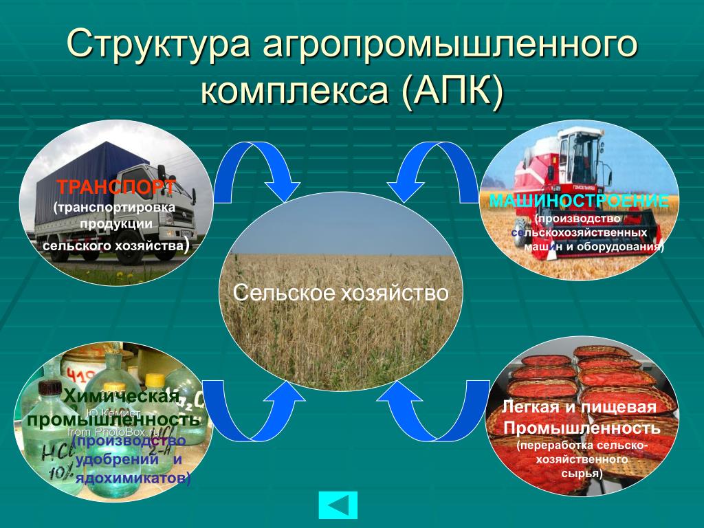 Состав сельской промышленности