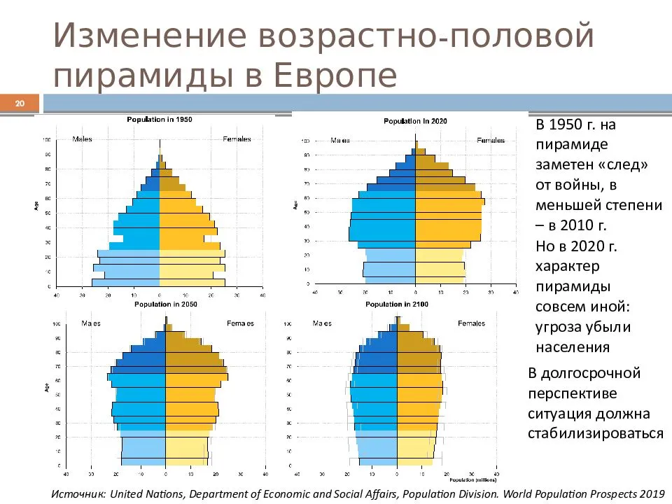 Половозрастной состав населения. конспект по географии - учительpro
