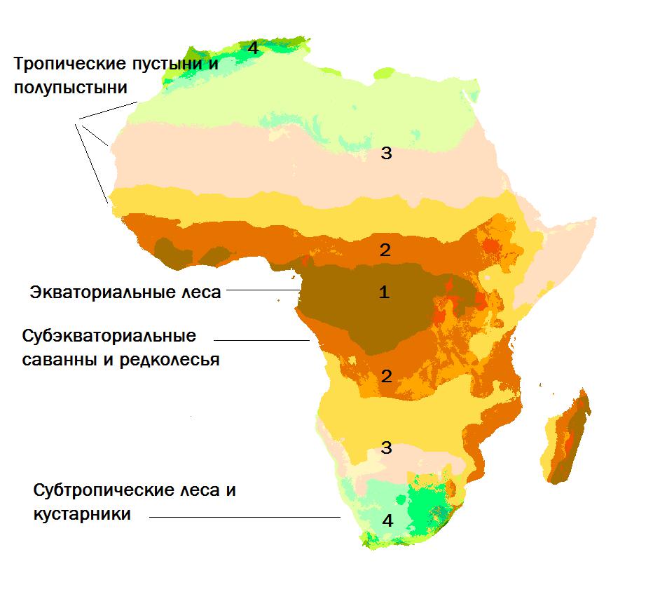 Африка это образец проявления широтной зональности
