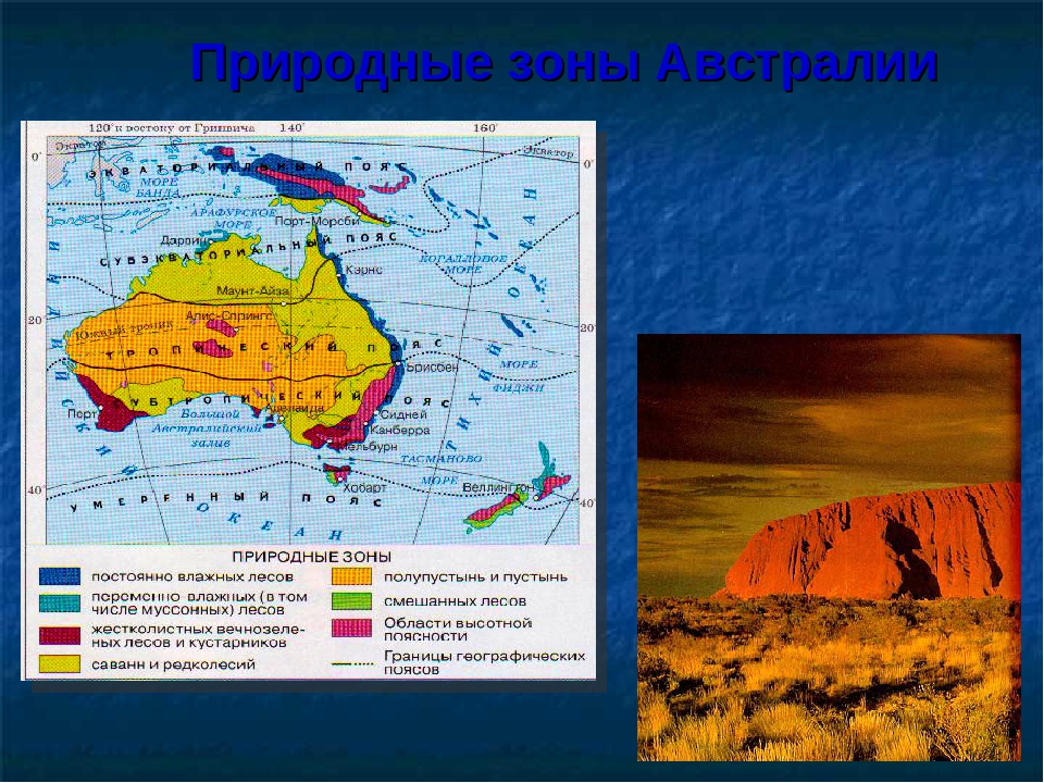 Природные зоны австралии географическое положение, особенности климата