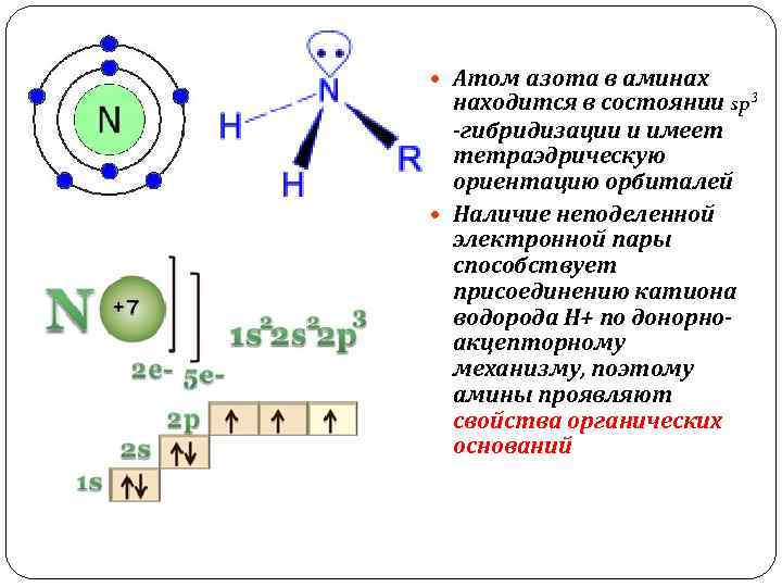 Неподеленная электронная пара - атом - азот
 - большая энциклопедия нефти и газа, статья, страница 1