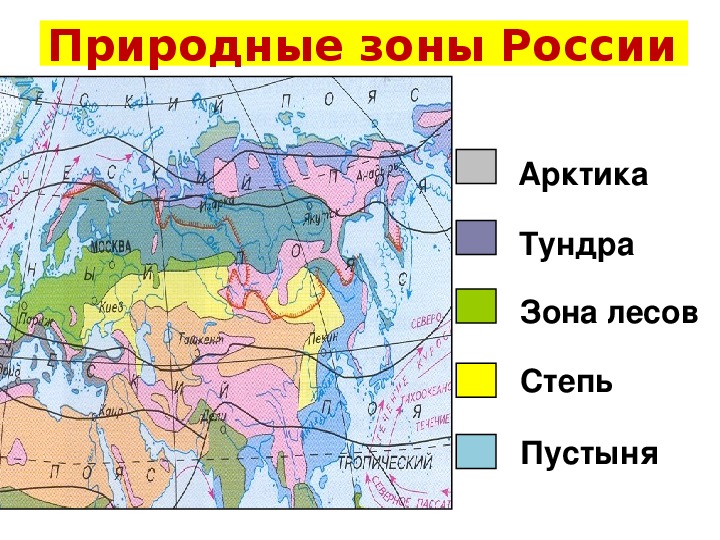 34. территория, границы и географическое положение россии. экономическая география