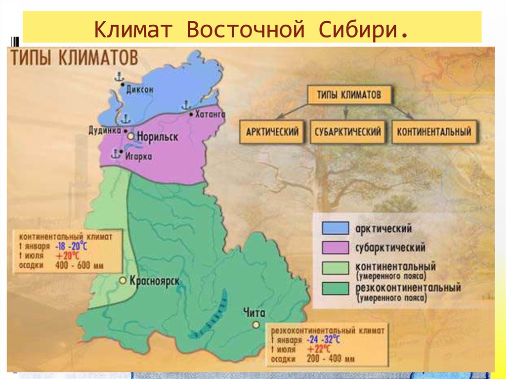 Северо-восточная сибирь на карте россии: типичные черты природы, климат, животный мир | tvercult.ru