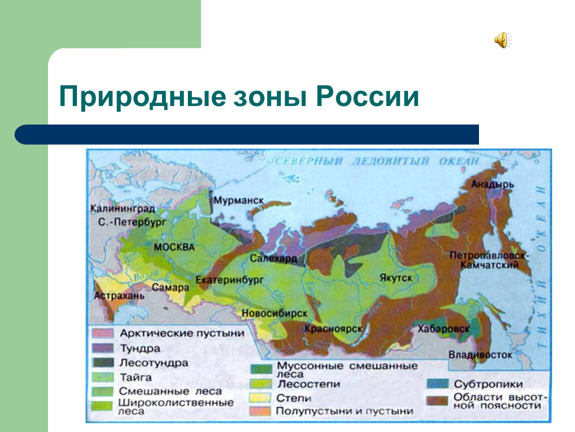 Тайга: географическое положение, особенности климата, растительный и животный мир :: syl.ru
