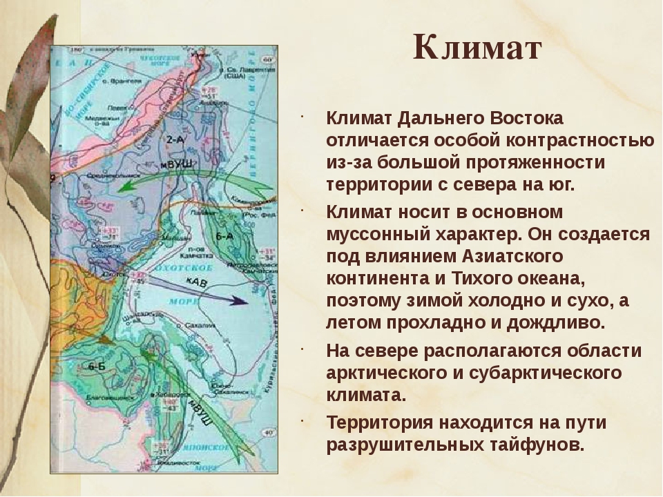 Дальний восток россии: география 8 класс, моря и океаны, омывающие территорию